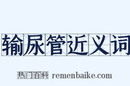 输尿管近义词是什么意思的图片